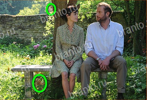 ответы на игру Найди кота Уровень 1012