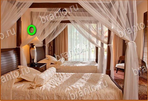 ответы на игру Найди кота Уровень 1015