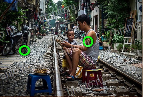 фотоответы на игру Найди кота Уровень 1016