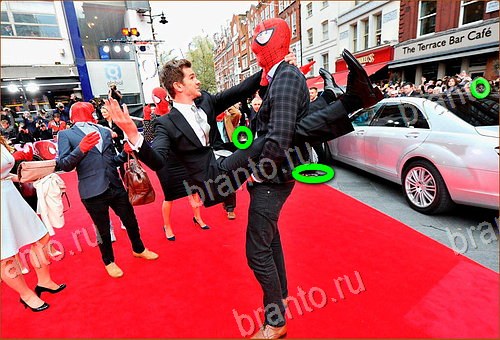 фото-ответы на игру Найди кота Уровень 1019