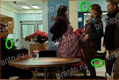 ответы на игру Найди кота уровень 1020