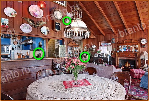 решебник на игру Найди кота Уровень 1029