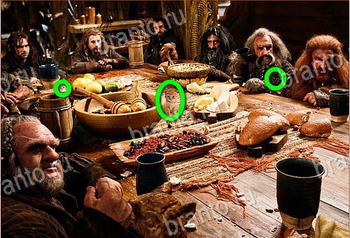 подсказки Найди кота Уровень 1082