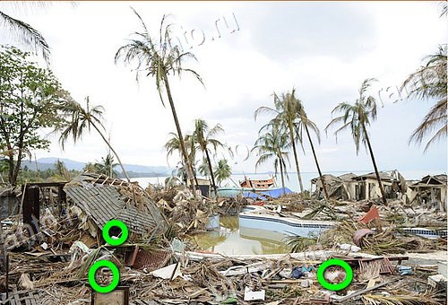 прохождение игры Найди кота Уровень 1085