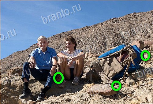 ответы на игру Найди кота Уровень 1092