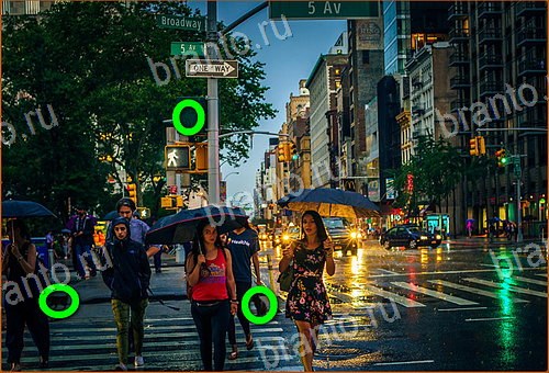 ключи на игру Найди кота Уровень 1108