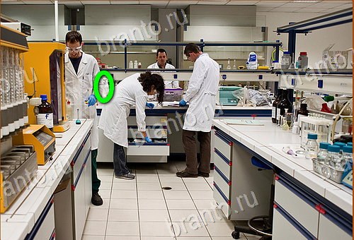 ответы на игру Найди кота Уровень 1123