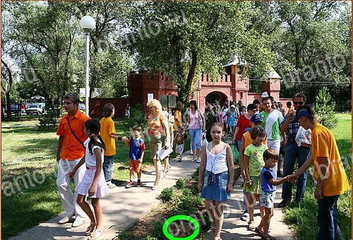 решения на игру Найди кота Уровень 1129