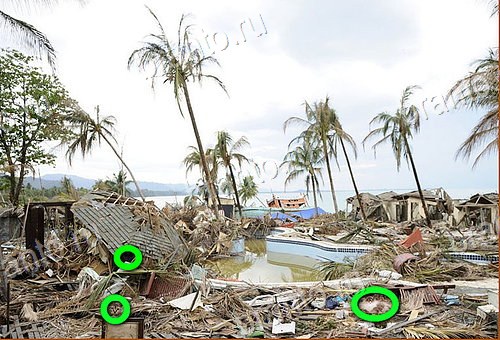 відповіді на игру Найди кота Уровень 1133