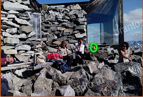 ответы на игру Найди кота Уровень 1135