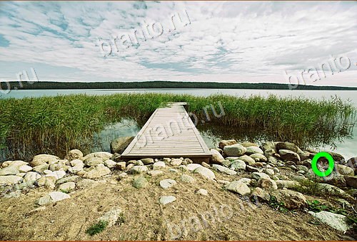 ответы на игру Найди кота Уровень 1137