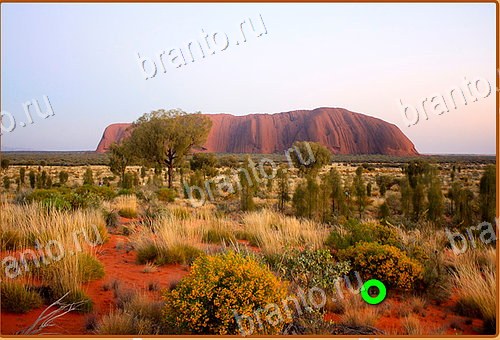 прохождение игры Найди кота Уровень 1145