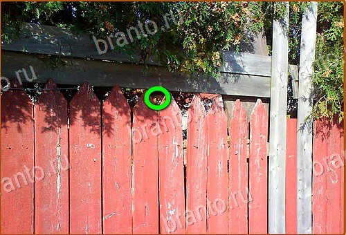 ответы на игру Найди кота Уровень 1152