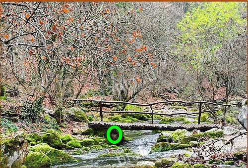 ответы на игру Найди кота Уровень 1154