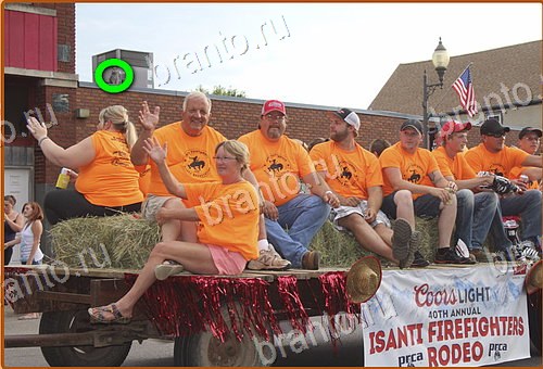 ответы на игру Найди кота Уровень 1156