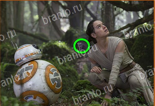 решения на игру Найди кота Уровень 1159