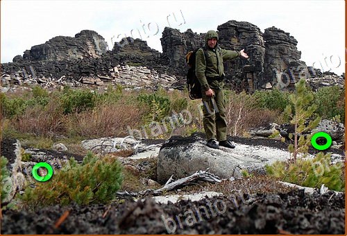 подсказки на игру Найди кота Уровень 1160