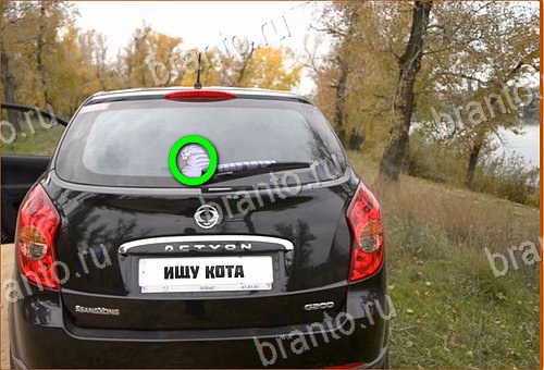 игра Найди кота ответы на все уровни 21