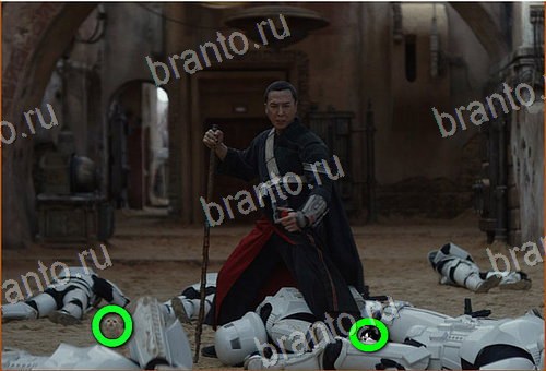 фотоответы на игру Найди кота Уровень 1166