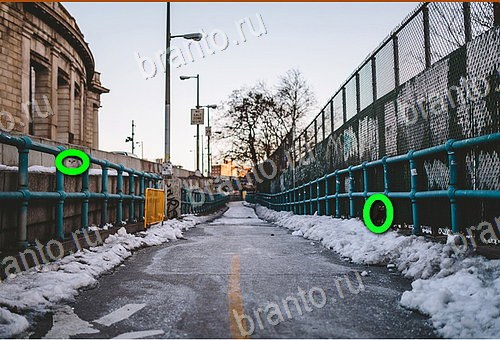 фото-ответы на игру Найди кота Уровень 1169