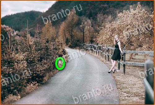 помощь на игру Найди кота Уровень 1174