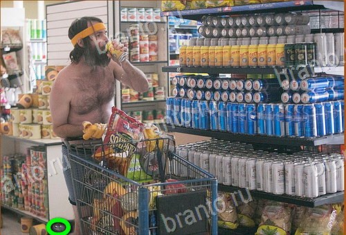 Найди кота игра ответы Уровень 1180