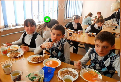 ответы на игру Найди кота Уровень 1183