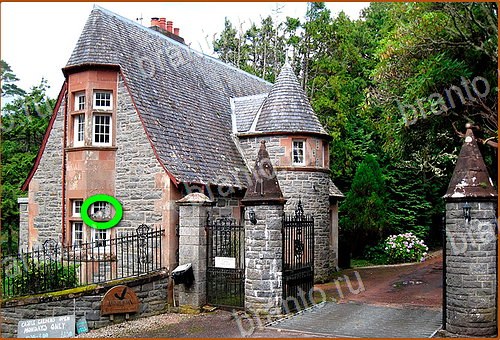 ответы на игру Найди кота Уровень 1187