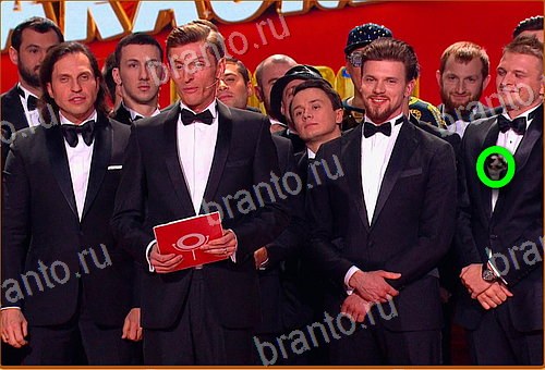 игра Найди кота ответы на все уровни 21