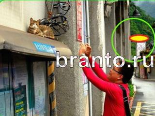 ответы на игру Зоркий глаз Уровень 645