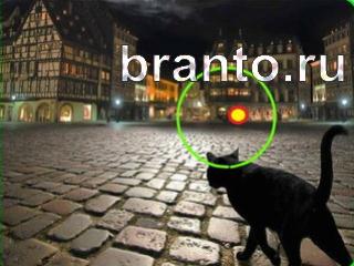 ответы на игру Зоркий глаз Уровень 649