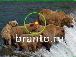 ответы на игру Зоркий глаз Уровень 668