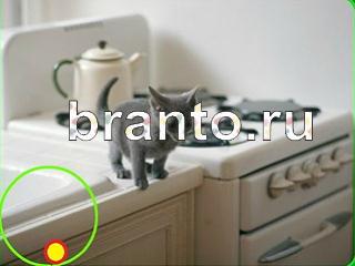 ответы на игру Зоркий глаз Уровень 729