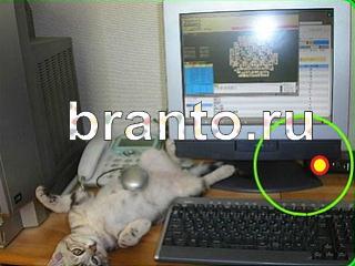 ответы на игру Зоркий глаз Уровень 733