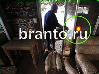 ответы на игру Зоркий глаз Уровень 745