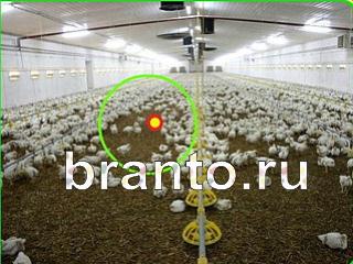 ответы на игру Зоркий глаз Уровень 748