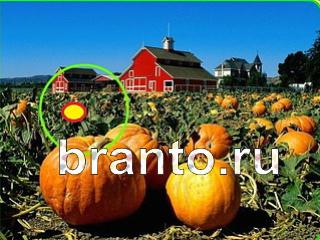 ответы на игру Зоркий глаз Уровень 752