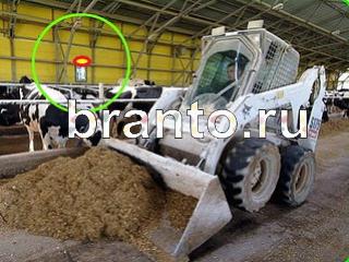 ответы на игру Зоркий глаз Уровень 754