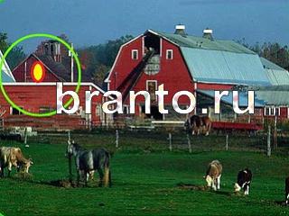 ответы на игру Зоркий глаз Уровень 757