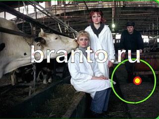 ответы на игру Зоркий глаз Уровень 759