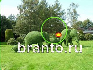 ответы на игру Зоркий глаз Уровень 778