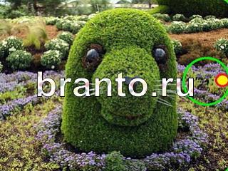 ответы на игру Зоркий глаз Уровень 780