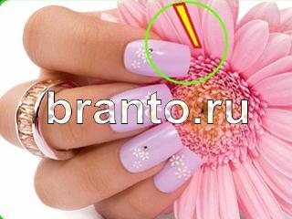 ответы на игру Зоркий глаз Уровень 787