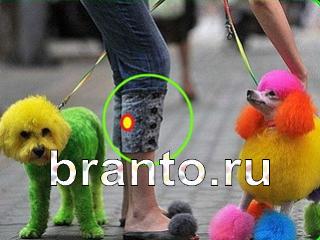 ответы на игру Зоркий глаз Уровень 792