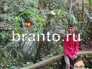 ответы на игру Зоркий глаз Уровень 1061