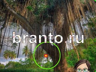 ответы на игру Зоркий глаз Уровень 1065