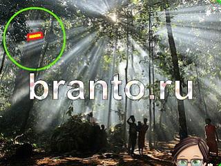 ответы на игру Зоркий глаз Уровень 1068