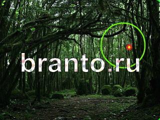 Зоркий глаз решения на игру Уровень 1069