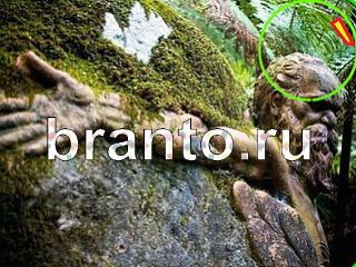 ответы на игру Зоркий глаз Уровень 1072