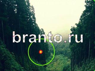 игра Зоркий глаз ответы Уровень 1073